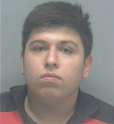 Sergio Negrete-Navarro, - Lee County, FL 