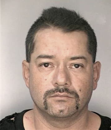 Daniel Hernandezrico - Hillsborough County, FL 