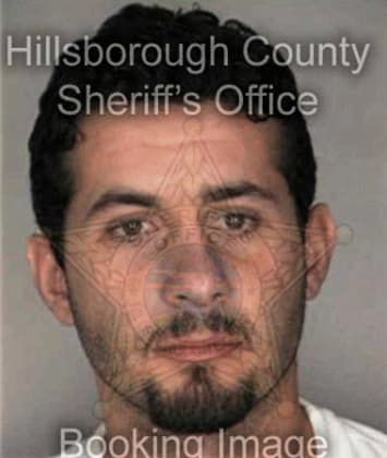 Mitchell McFall - Hillsborough County, FL 