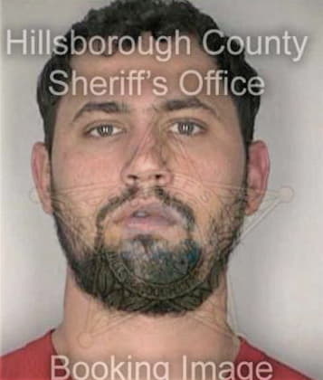 Carlos Ortiz, - Hillsborough County, FL 