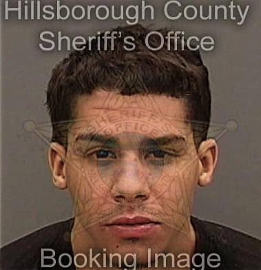 Jaime Perez-Almeyda, - Hillsborough County, FL 