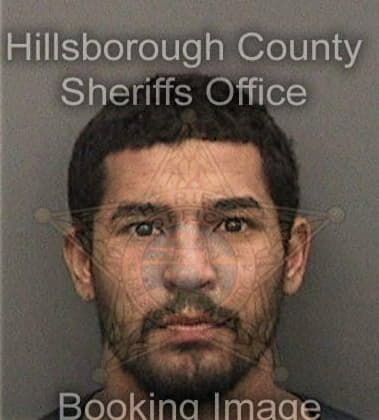 Alexander Salazar, - Hillsborough County, FL 