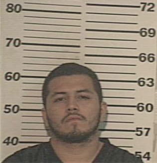 Alberto-Garcia Trevino, - Hidalgo County, TX 