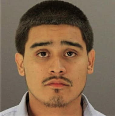Francisco Villeda - Dallas County, TX 