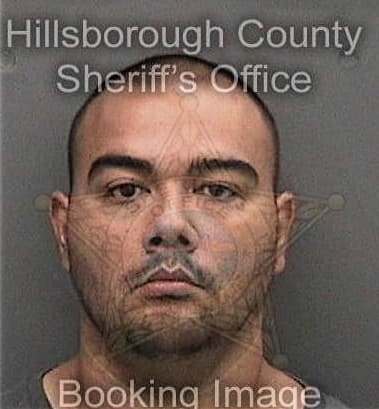 Anthony Weimer, - Hillsborough County, FL 