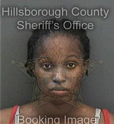 Donna Chatman - Hillsborough County, FL 