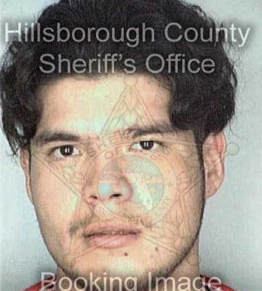 Jose Guerra, - Hillsborough County, FL 