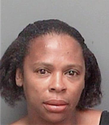 Yolanda Lavine, - Pinellas County, FL 