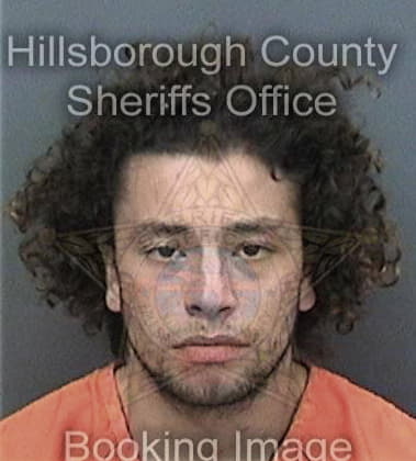 Derick Pachecomendez, - Hillsborough County, FL 