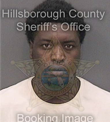 Vincent Williams, - Hillsborough County, FL 