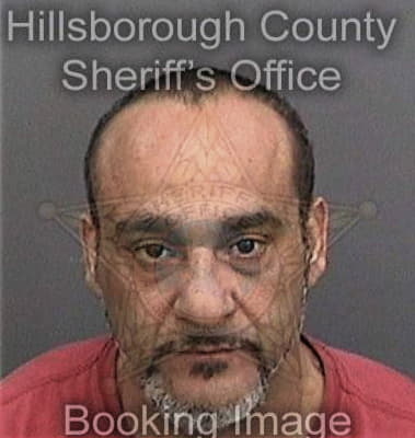 Josue Deleon, - Hillsborough County, FL 