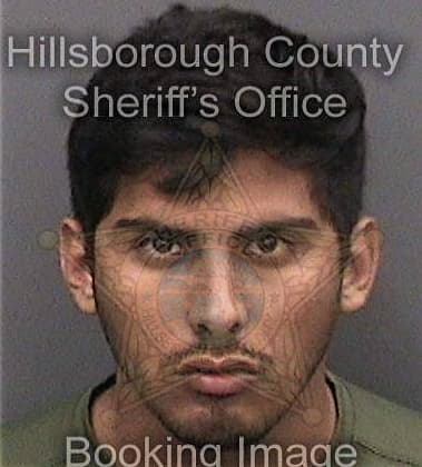 Ali Hijaz, - Hillsborough County, FL 