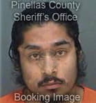 Kleiner Moreiracruz, - Pinellas County, FL 