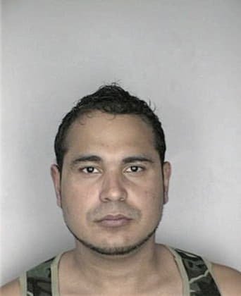 Pedro Peguero, - Hillsborough County, FL 