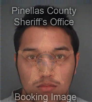 Eulalio Alvarez, - Pinellas County, FL 