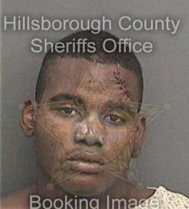 Daniel Baez, - Hillsborough County, FL 