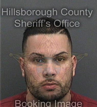 Bradley Dees, - Hillsborough County, FL 