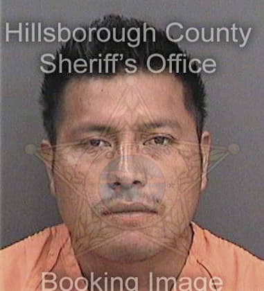 Alfonso Dejesus, - Hillsborough County, FL 