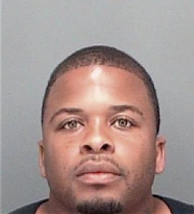 Nicholas Ingram, - Pinellas County, FL 