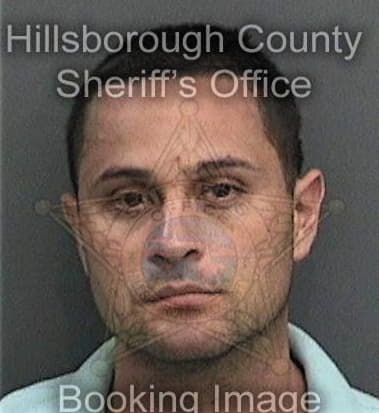 Timothy Johnson, - Hillsborough County, FL 