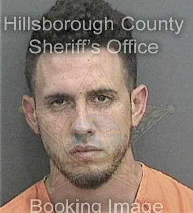 Ronald Livesay, - Hillsborough County, FL 