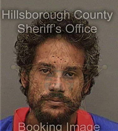 Stephen Parsons, - Hillsborough County, FL 