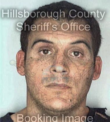 Timothy Tourville, - Hillsborough County, FL 