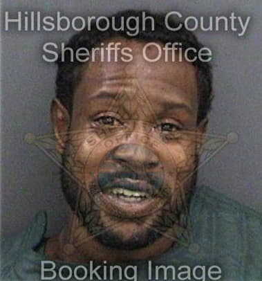 Nicholas White - Hillsborough County, FL 