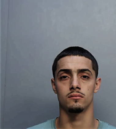 Erik Zubizarretaperez, - Dade County, FL 