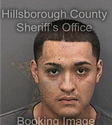 Christopher Bowmer - Hillsborough County, FL 