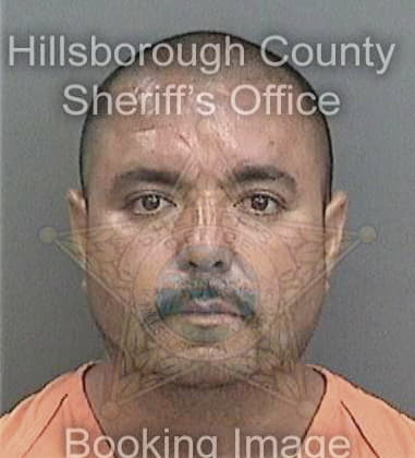 Juan Burgosmedina, - Hillsborough County, FL 