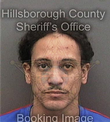 Ivan Cosmenieves, - Hillsborough County, FL 