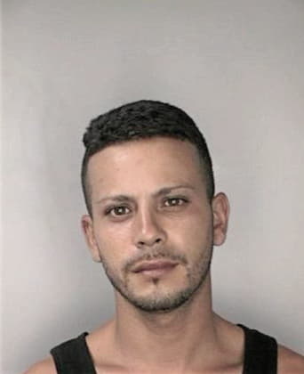 Carlos Hernandezguzman - Hillsborough County, FL 