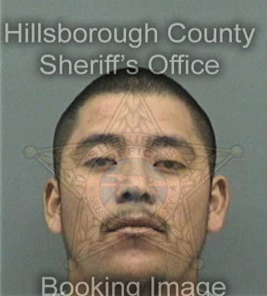 Michael Lummin, - Hillsborough County, FL 