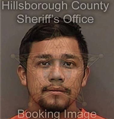 William Mintz - Hillsborough County, FL 