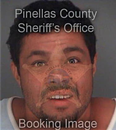 Ricardo Rodriguez, - Pinellas County, FL 