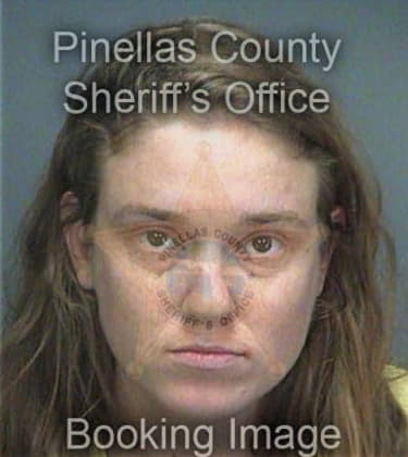 Anita Sanchez, - Pinellas County, FL 