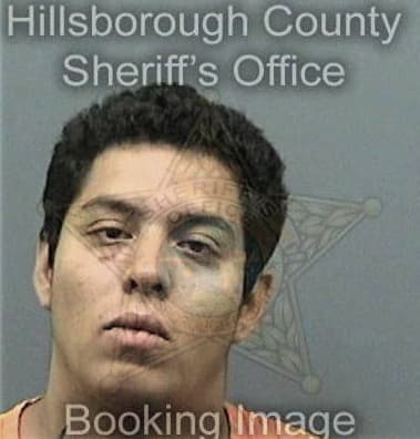 Justin Young, - Hillsborough County, FL 