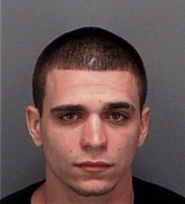 Erick Garciasandobal, - Pinellas County, FL 