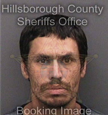 Pedro Zarate, - Hillsborough County, FL 