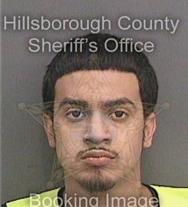 Bijan Adib, - Hillsborough County, FL 