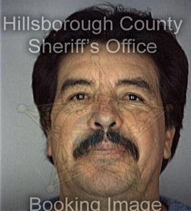 Alfredo Carratala, - Hillsborough County, FL 