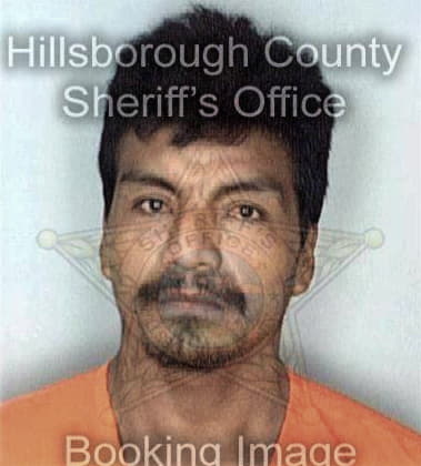Tony Clark - Hillsborough County, FL 