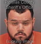 Edgar Cuerogarces, - Pinellas County, FL 