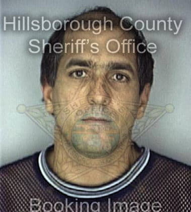 Dominic Daniele, - Hillsborough County, FL 