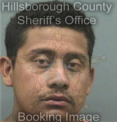 Mathew Driggers, - Hillsborough County, FL 