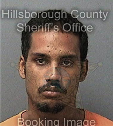 Lorenzo Bautistasantiago, - Hillsborough County, FL 