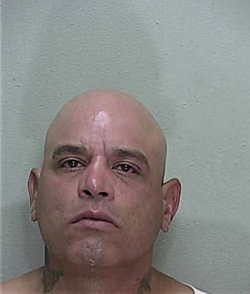 Rumualdo Bravo, - Marion County, FL 