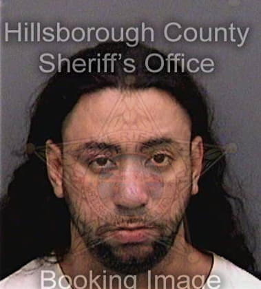 Alexander Henken - Hillsborough County, FL 