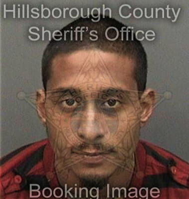 Christopher Holloway, - Hillsborough County, FL 